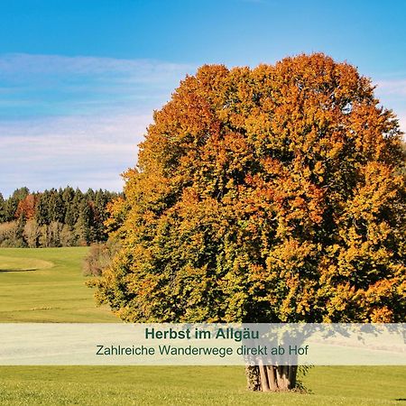 Chalet - Ferienwohnungen - Biohof Stoeger - Panoramasuedbalkon - Grandiose Aussicht Auf See, Berge Und Schloss Neuschwanstein Риден Экстерьер фото