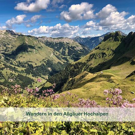 Chalet - Ferienwohnungen - Biohof Stoeger - Panoramasuedbalkon - Grandiose Aussicht Auf See, Berge Und Schloss Neuschwanstein Риден Экстерьер фото