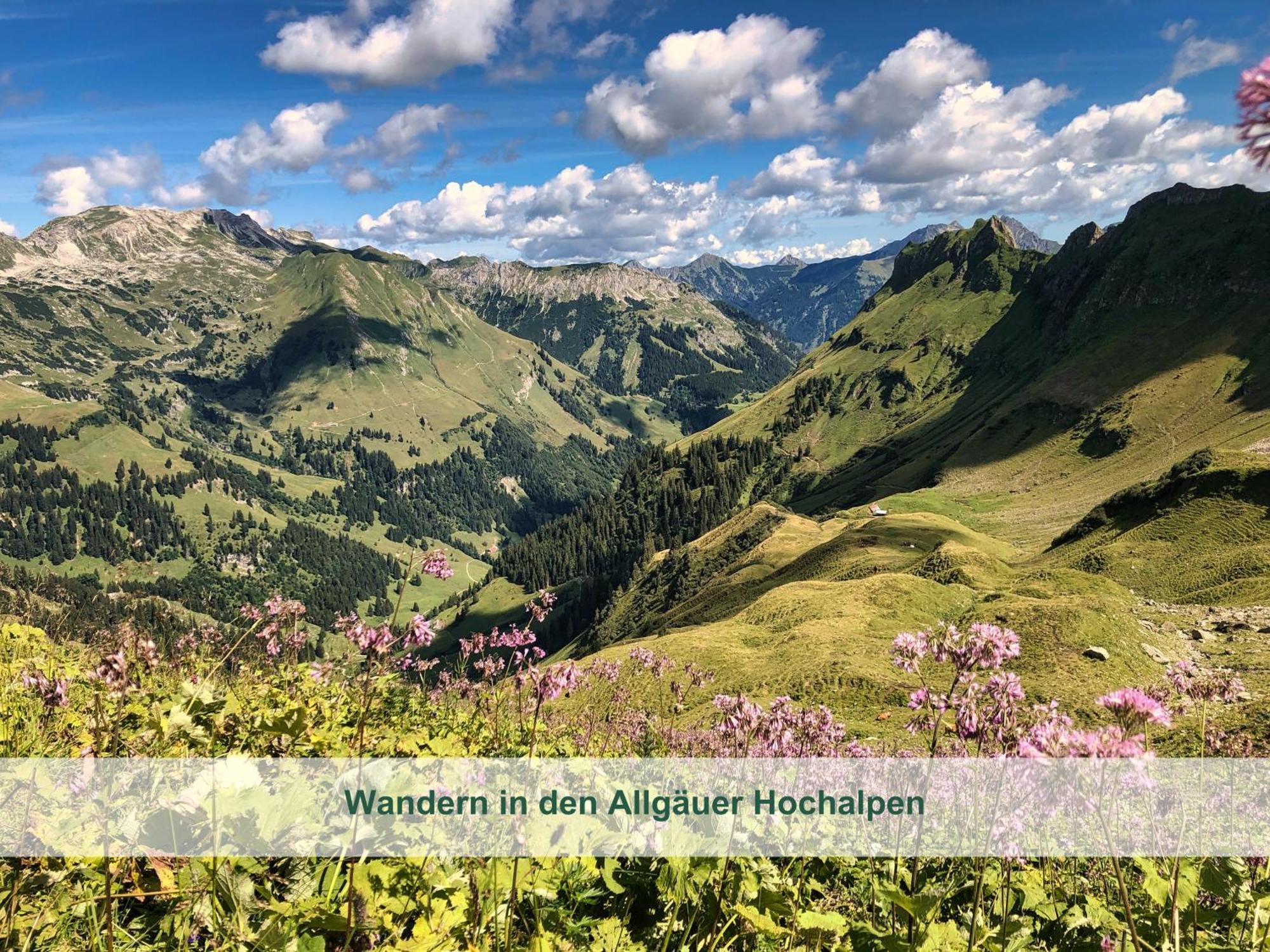 Chalet - Ferienwohnungen - Biohof Stoeger - Panoramasuedbalkon - Grandiose Aussicht Auf See, Berge Und Schloss Neuschwanstein Риден Экстерьер фото