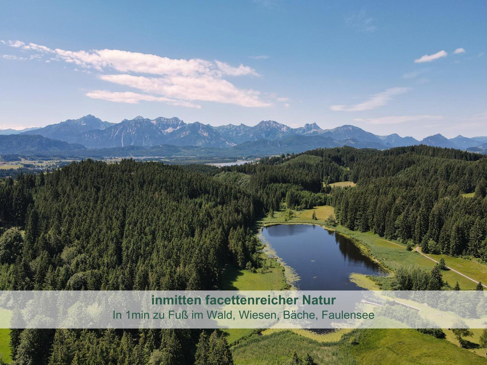 Chalet - Ferienwohnungen - Biohof Stoeger - Panoramasuedbalkon - Grandiose Aussicht Auf See, Berge Und Schloss Neuschwanstein Риден Экстерьер фото