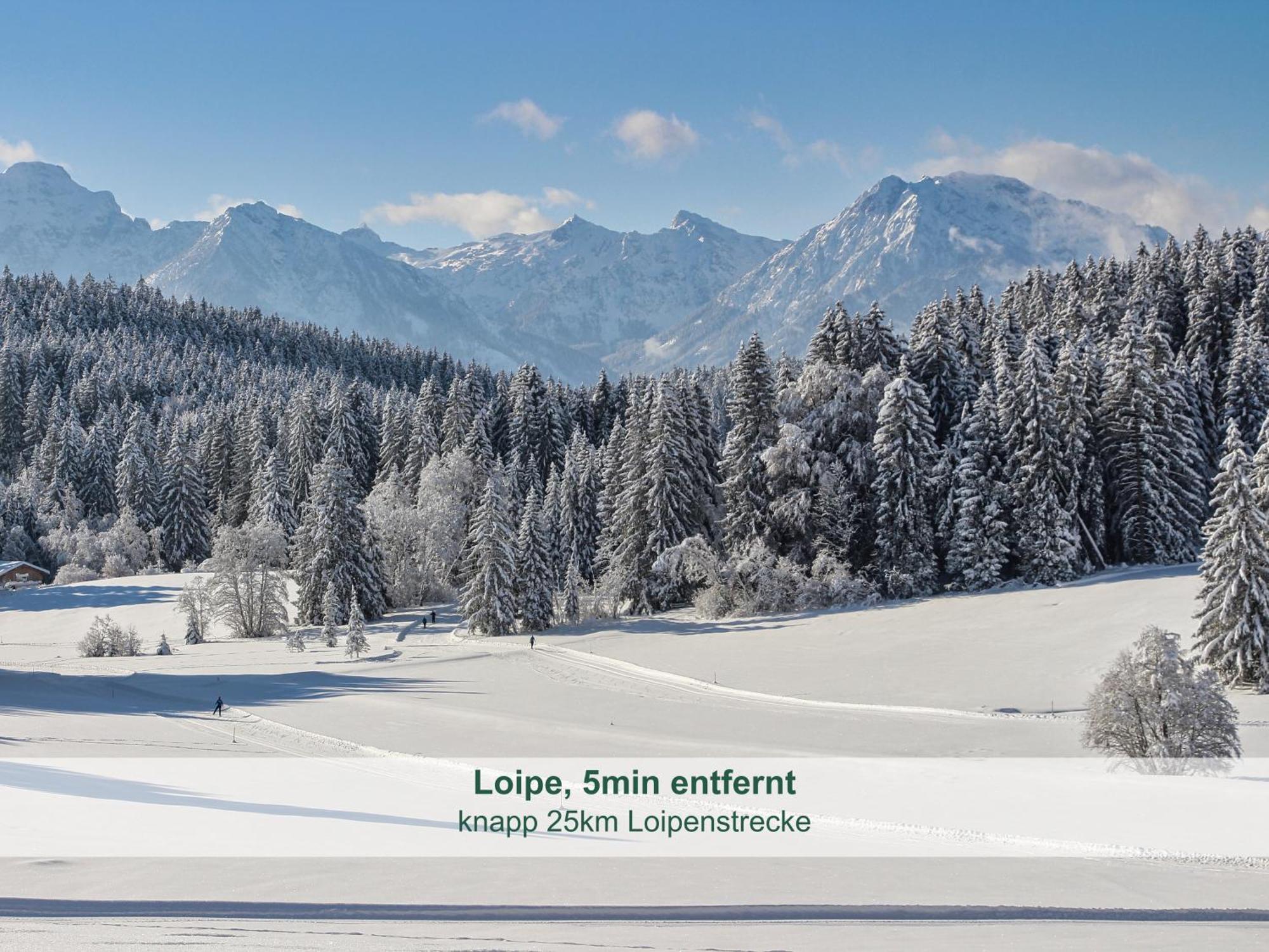 Chalet - Ferienwohnungen - Biohof Stoeger - Panoramasuedbalkon - Grandiose Aussicht Auf See, Berge Und Schloss Neuschwanstein Риден Экстерьер фото