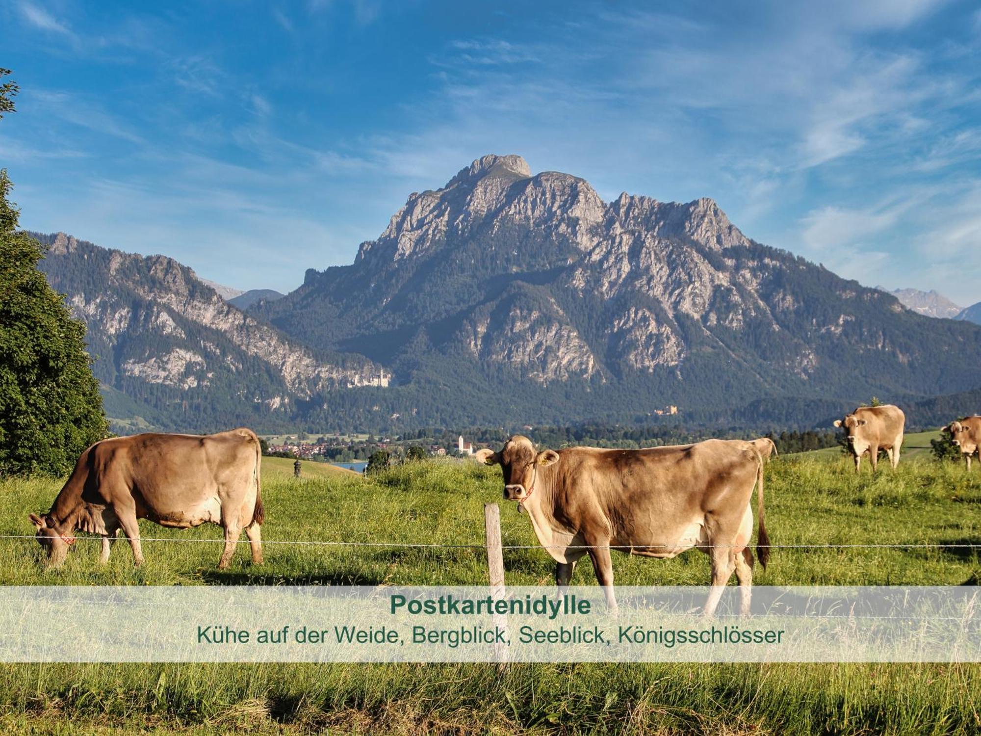 Chalet - Ferienwohnungen - Biohof Stoeger - Panoramasuedbalkon - Grandiose Aussicht Auf See, Berge Und Schloss Neuschwanstein Риден Экстерьер фото