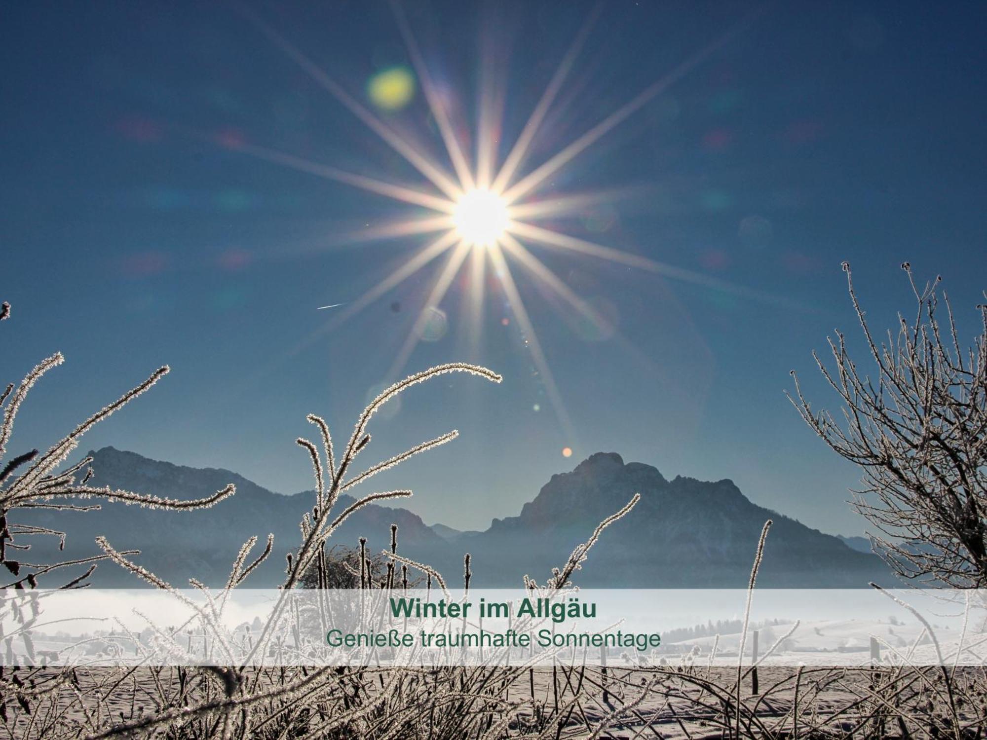 Chalet - Ferienwohnungen - Biohof Stoeger - Panoramasuedbalkon - Grandiose Aussicht Auf See, Berge Und Schloss Neuschwanstein Риден Экстерьер фото