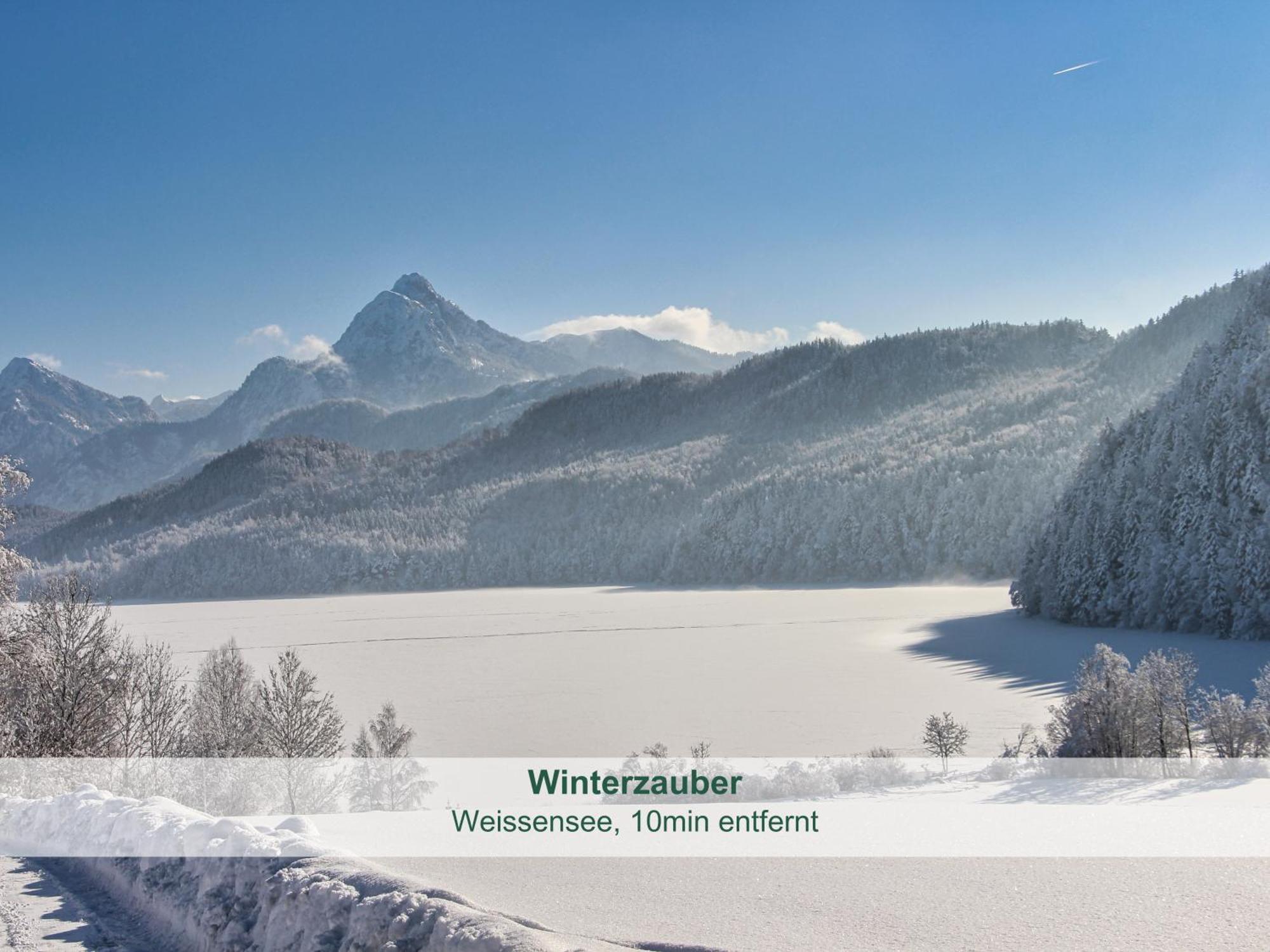 Chalet - Ferienwohnungen - Biohof Stoeger - Panoramasuedbalkon - Grandiose Aussicht Auf See, Berge Und Schloss Neuschwanstein Риден Экстерьер фото