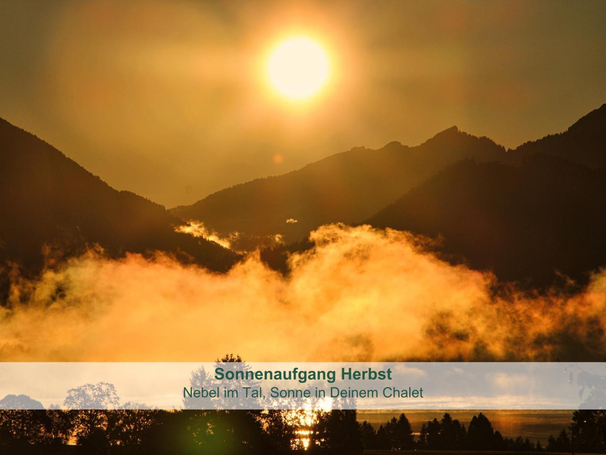 Chalet - Ferienwohnungen - Biohof Stoeger - Panoramasuedbalkon - Grandiose Aussicht Auf See, Berge Und Schloss Neuschwanstein Риден Экстерьер фото