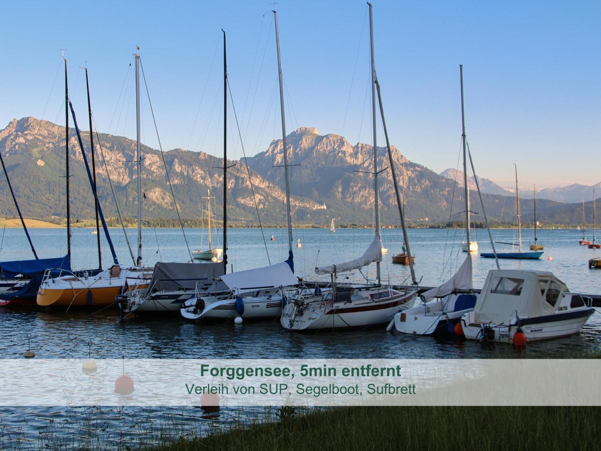 Chalet - Ferienwohnungen - Biohof Stoeger - Panoramasuedbalkon - Grandiose Aussicht Auf See, Berge Und Schloss Neuschwanstein Риден Экстерьер фото